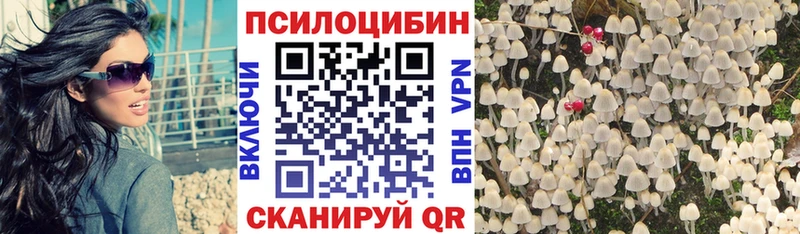 Галлюциногенные грибы прущие грибы  Купить закладки  Саранск 