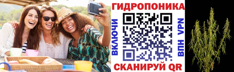 Купить  Саранск  Бошки марихуана THC 21% 